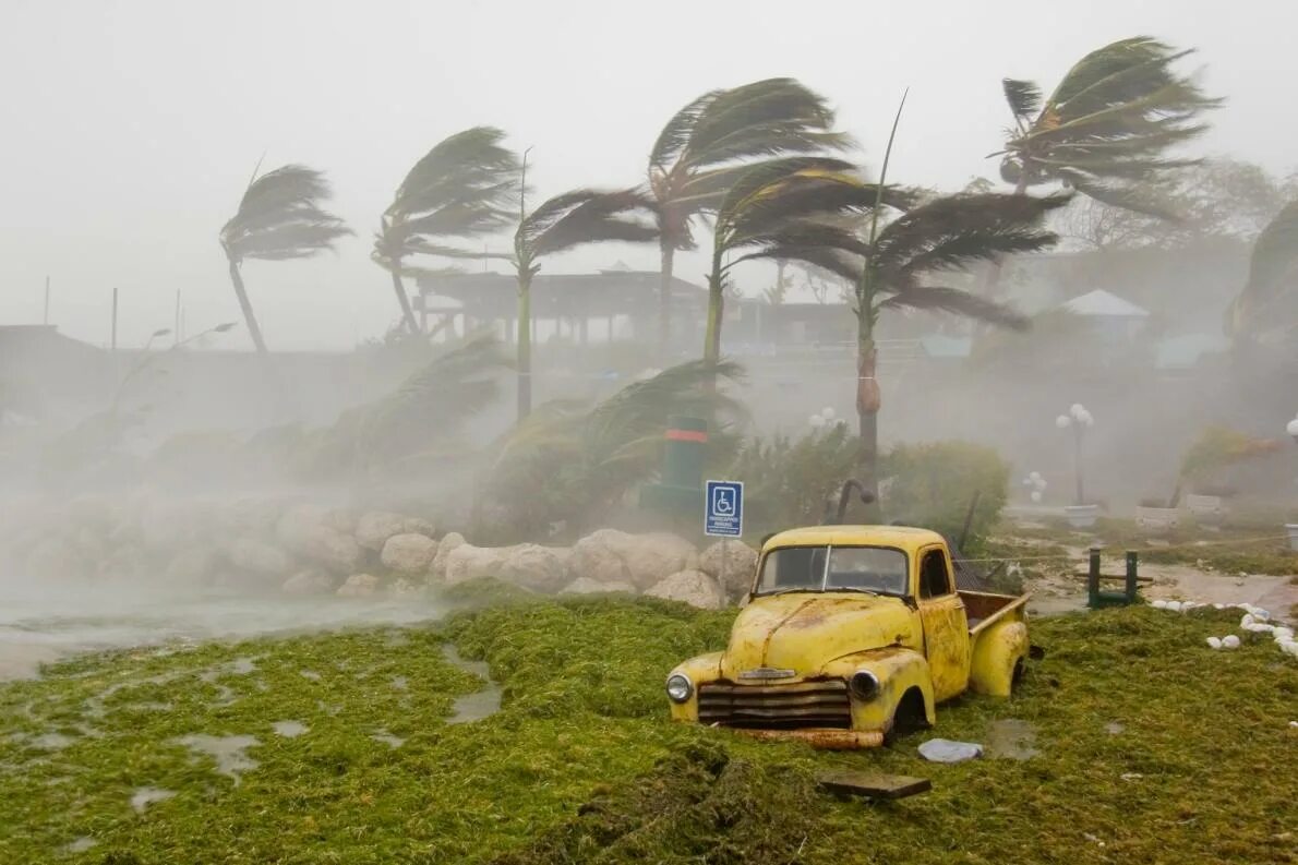 Weather disasters