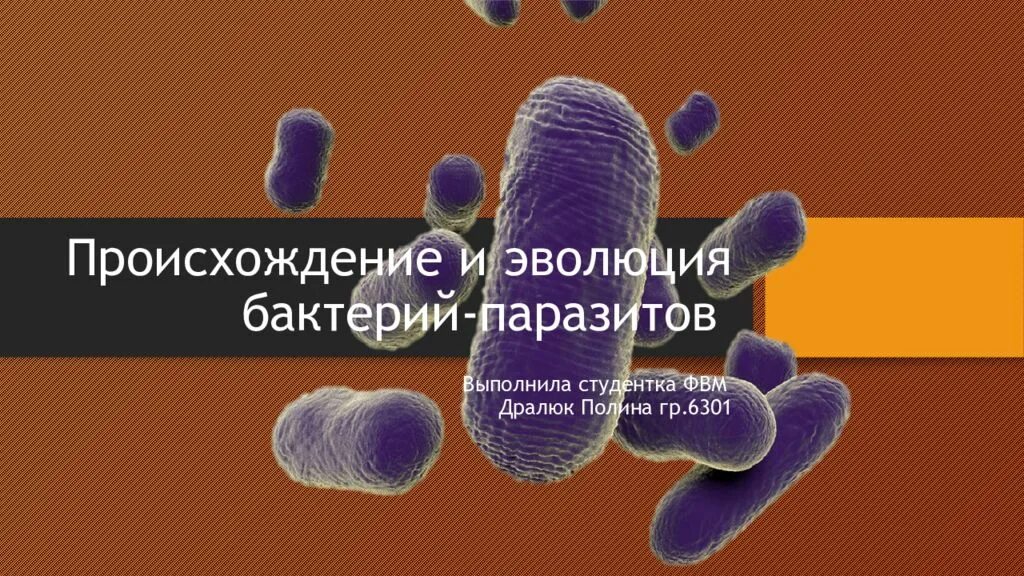 Происхождение бактерий. Микроорганизмы паразиты. Эволюция бактерий.