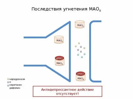 Мао мао фармацевт сколько лет