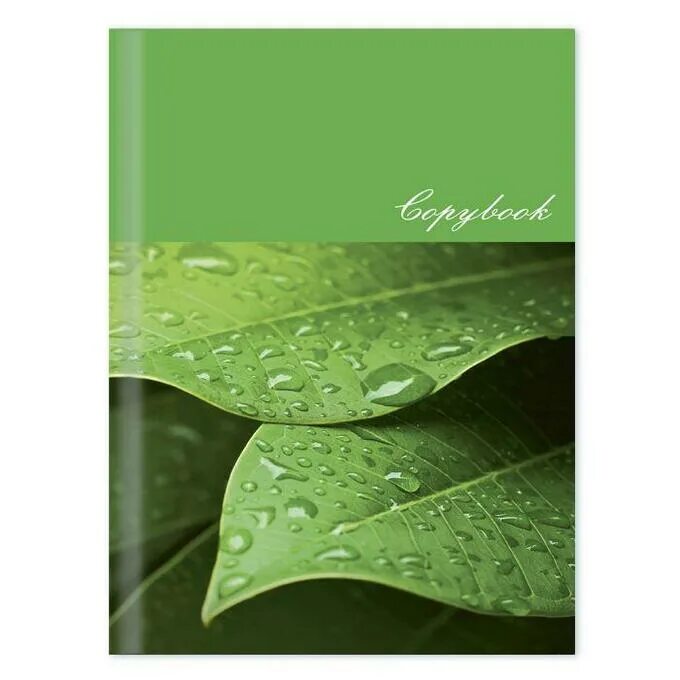 Тетрадь 96 а5. Тетрадь в твердой обложке 96 листов. Тетрадь в твердой обложке а5. Тетрадь 96 л в твердом переплете. Обложка листья.