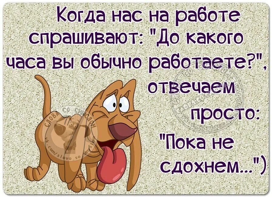 Статусы про работу прикольные. Статусы про работу прикольные в картинках. Юмор про работу. Прикольные открытки про работу.