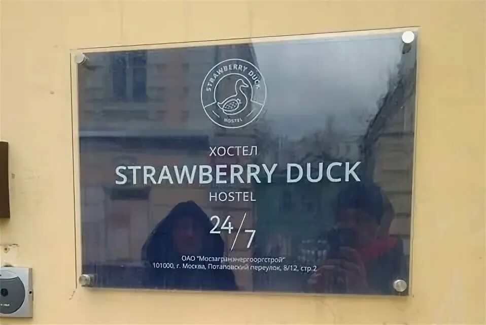 Strawberry Duck Hostel Москва. Строуберри дак хостел Москва. Хостел «Strawberry Duck» Питер. Strawberry Duck хостел Москва фото.