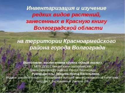 Волгоградская красная книга растения