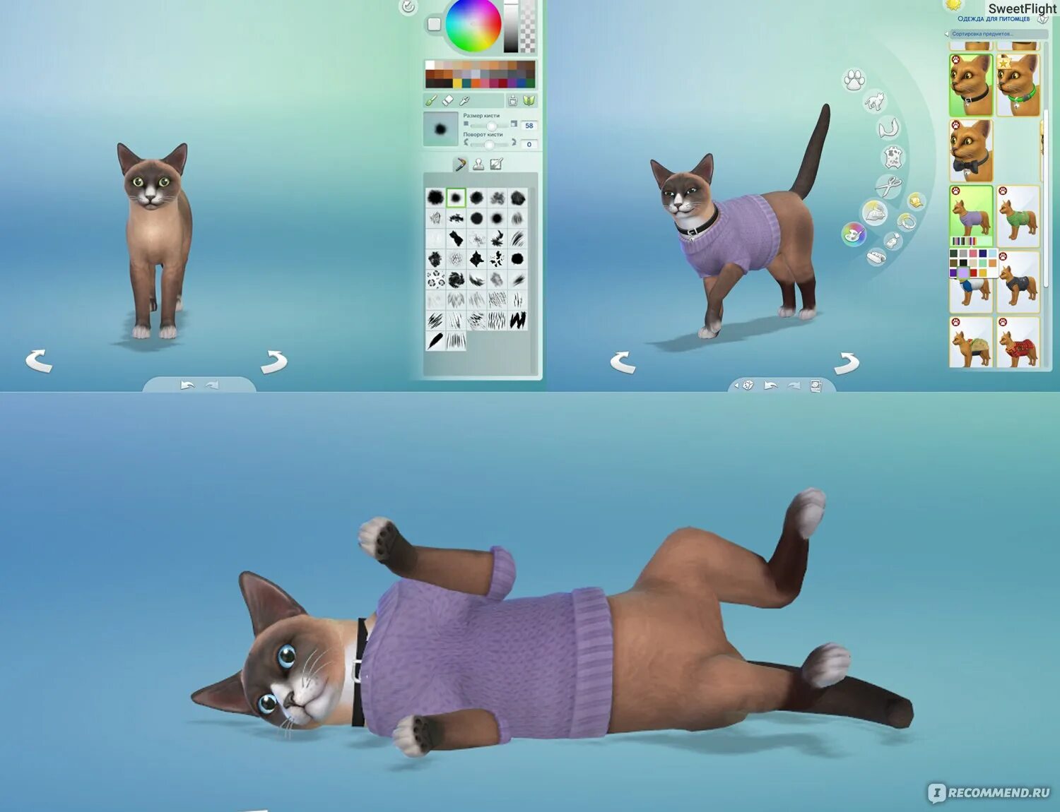 Дополнение симс 4 кошки и собаки. The sims 4. кошки и собаки. симс 4 кошки и собаки. sims 4 кошка. the sims 4 пес.