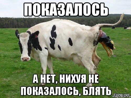 Пап, у меня кончились деньги, давай я тебе член пососу