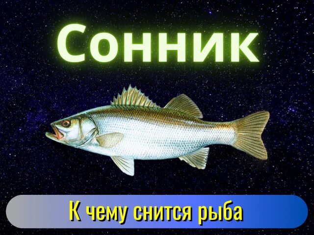 Рыба сонник для мужчины. Снится рыба. К чему снится Живая рыба. Рыбка сонник. К чему снится рыба во сне.