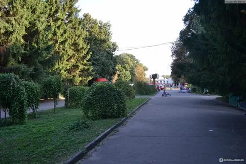 Липецкие сады