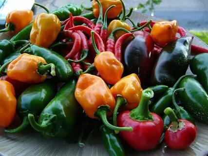 E pepper