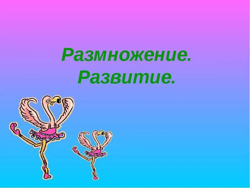 Размножение и развитие организма человека. Размножение и развитие человека 8 класс. Размножение и развитие человека 8 класс схема. Размножение человека презентация 8 класс.