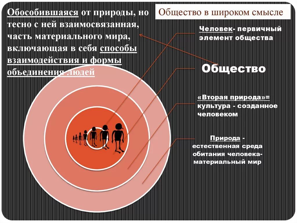 Характеристика общества в широком смысле. Общество в широком смысле.