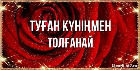 Байланған қызды трафиктену фотосы