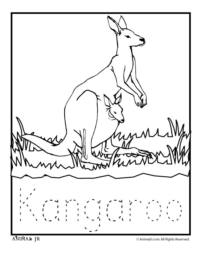 Кенгуру найти слово. Кенгуру раскраска для детей. Животные Австралии раскраска. Австралия раскраска. Австралия раскраска для детей.