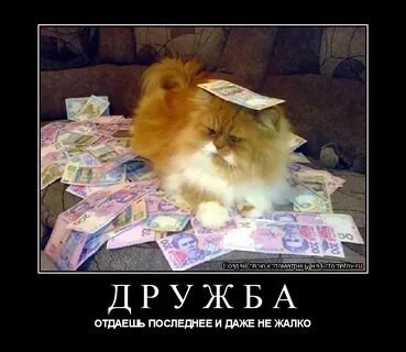 Все до последнего отдам