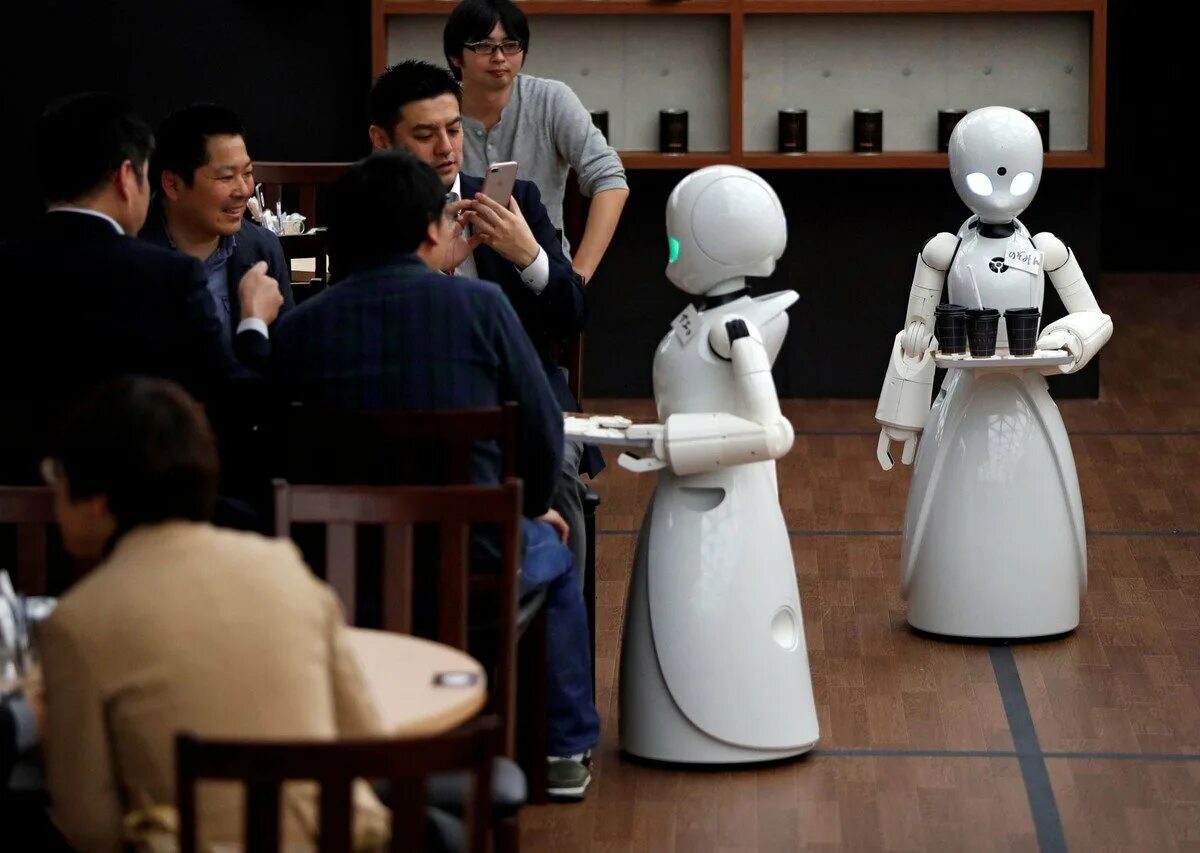 Кафе с роботами в Японии. Робот официант. Японские роботы. Современные роботы. Япония робототехника