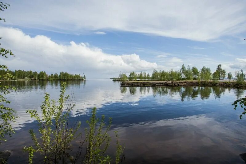 Озеро среднее озерное. Озеро Куйто Карелия. Озеро верхнее Куйто. Озеро Куйто Карелия рыбалка. Озеро нижнее Куйто.