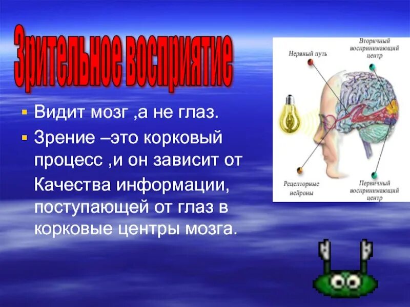 Как видеть мозгом. Глаза и мозг взаимосвязь. Мозг и зрение человека. Зрение и мозг. Мозг и зрение связь.