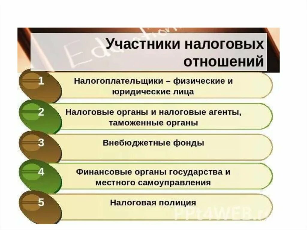 Отношения налогоплательщик налоговые органы. Налоги право 11 класс. Налоговое право виды.