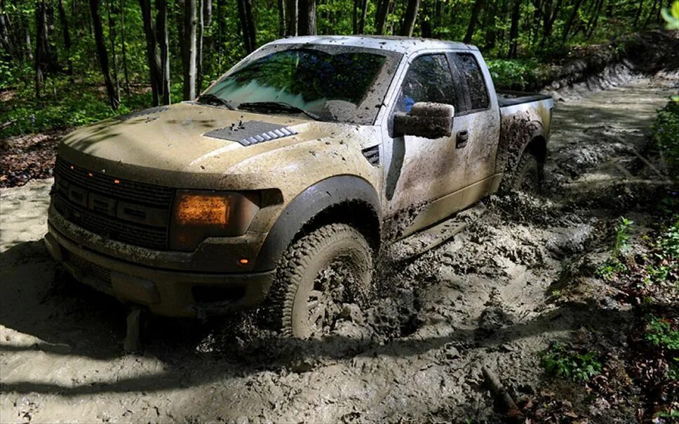 Грязный пикап. Форд Раптор для бездорожья. Ford f-150 Mud Tuning. Форд Раптор в грязи. Ford f150 на бездорожье.