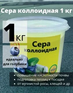 Сера под голубику