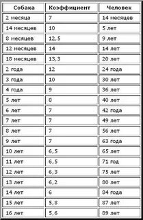 До скольки лет живут собаки