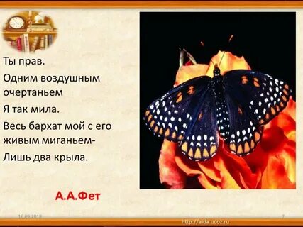 Стихотворение 2 крыла