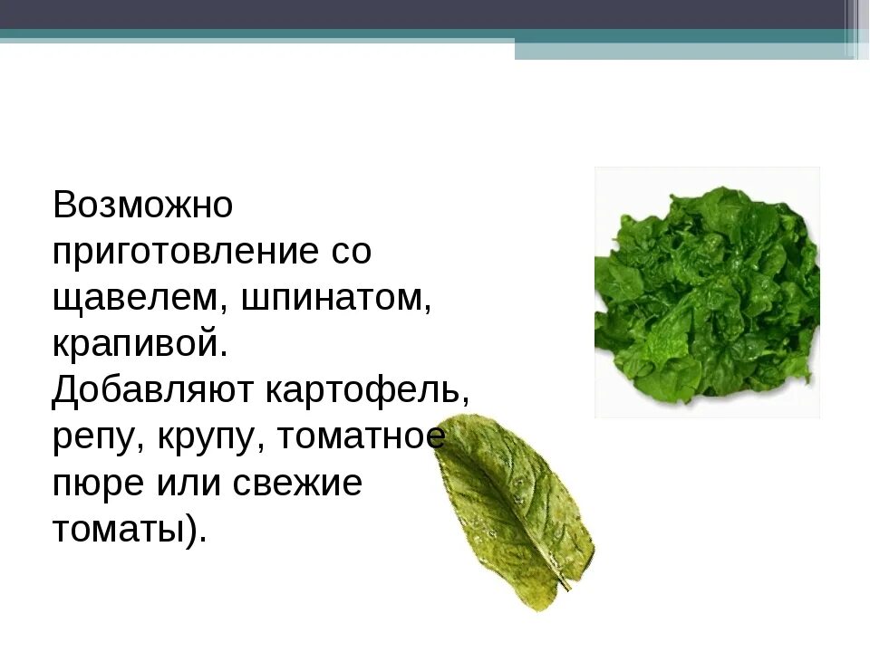 Щавель арбуз. Различие шпината и щавеля. Шпинат и щавель разница. Щавель Шпинатный. Различия между щавелем и шпинатом.