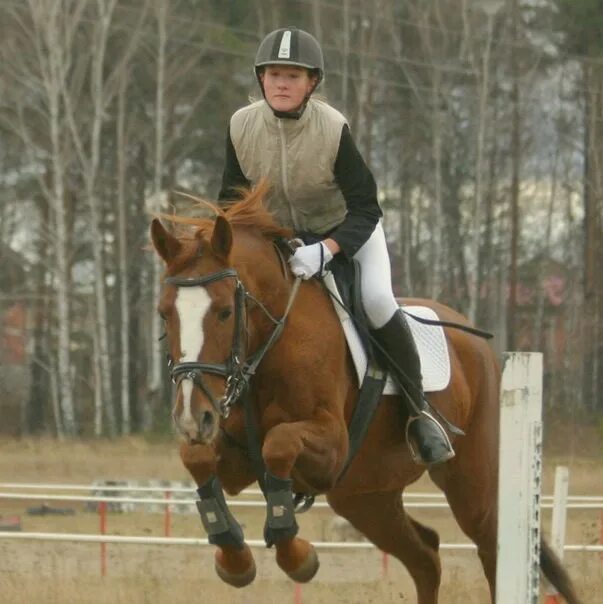 мбу конного спорта. конкур конный спорт. конно-спортивная школа исток екатеринбург. конные школы сочи и адлера. конно-спортивная школа казань.