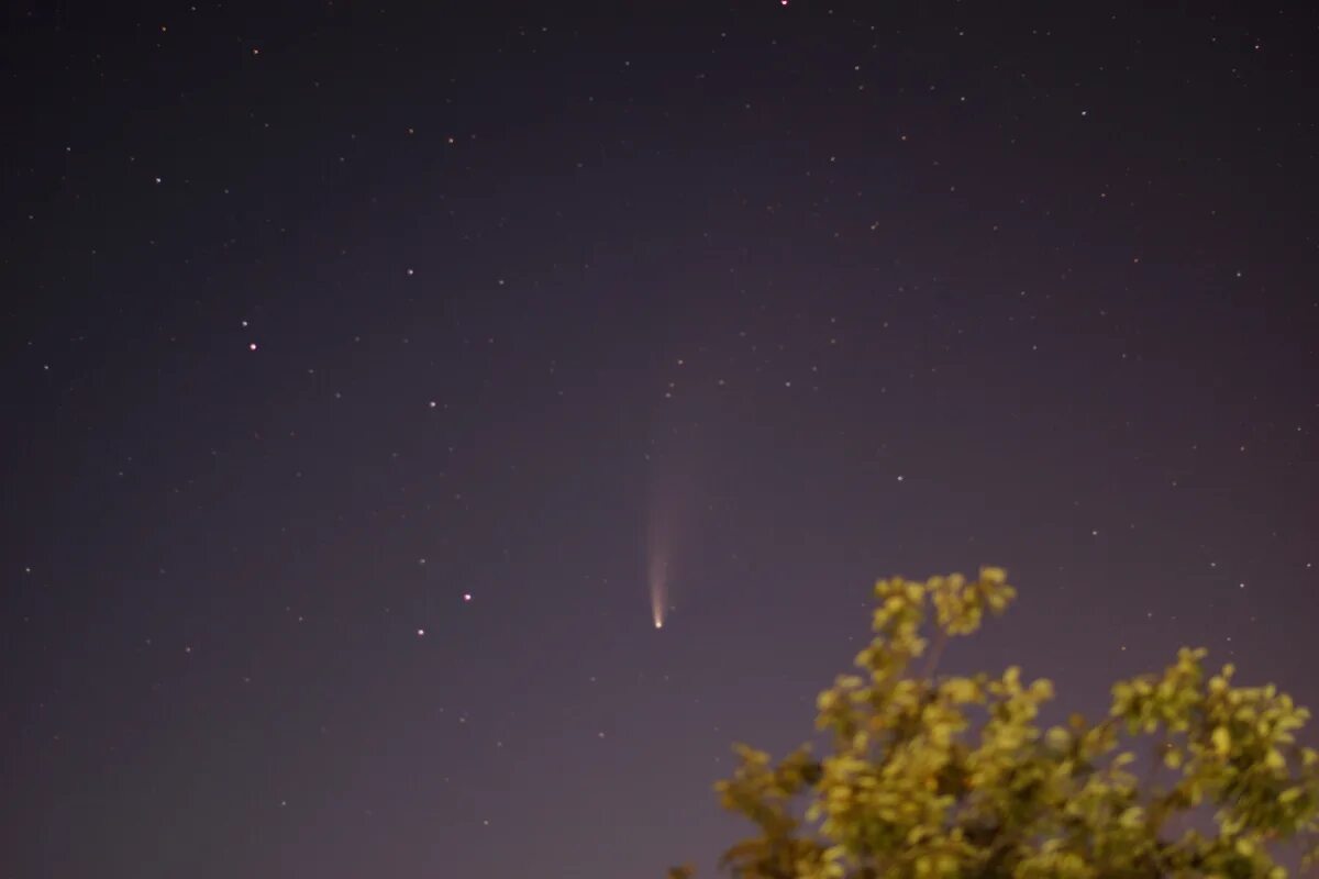 Где сегодня можно увидеть комету в россии. Комета неовайз. Метеоритный поток Лириды. Комета близко к земле. Комета в небе.