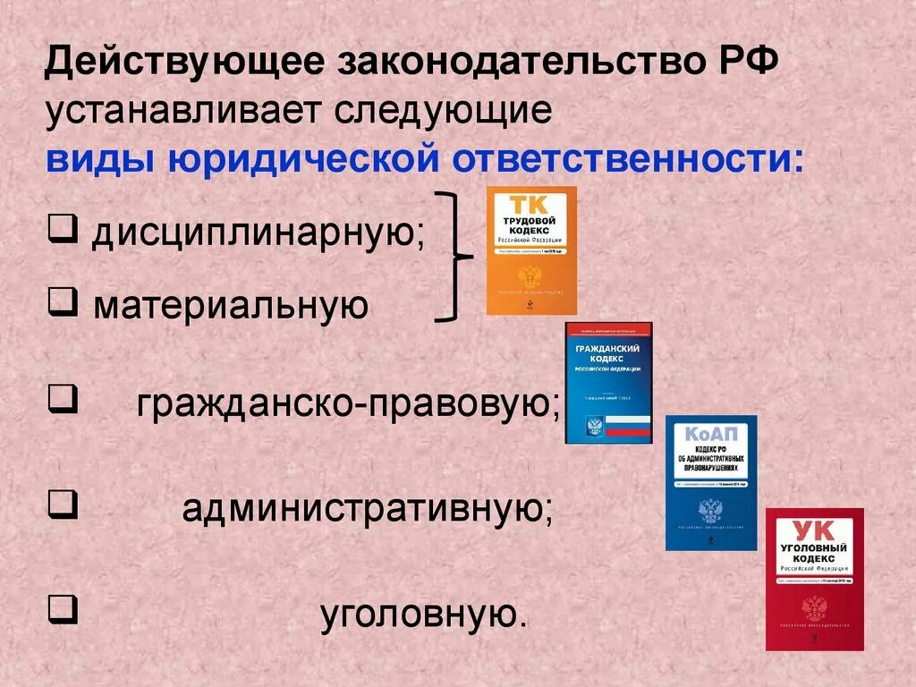 Установленным действующим законодательством рф