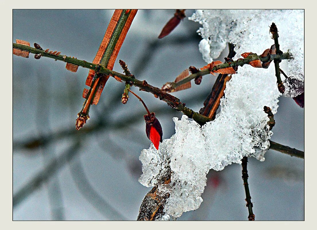 январская оттепель. погода на апрель 2022 в новосибирске. оттепель это явление природы. оттепель природа. февраль оттепель.