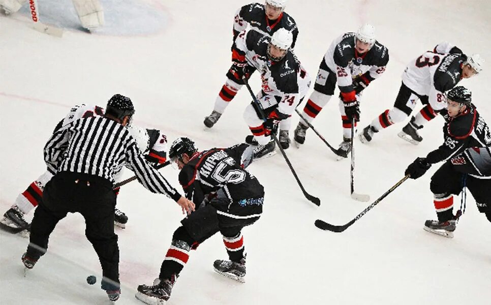 тюменский легион якуценя жан. легион мхл. первый легионер челябинск копейское. тюменский легион логотип. канцеров стальные лисы.