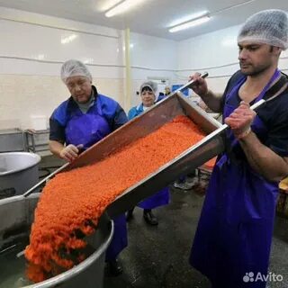 Вахта камчатка женщинам