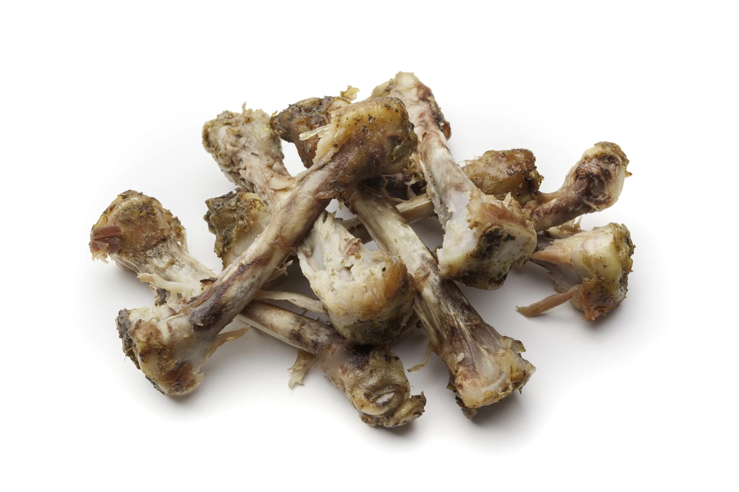 обглоданные куриные кости. трубчатые кости индейки. можно ли есть куриные кости. трубчатые куриные кости. можно ли есть куриные кости.