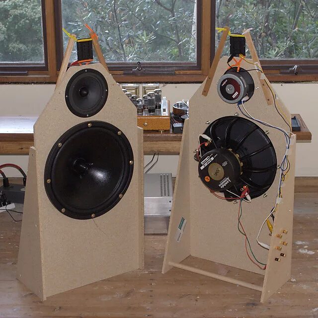 A speaker of the program