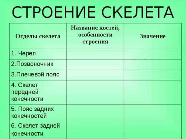 Особенности строения отделов скелета. Отдел скелета название костей, особенности строения. Отделы скелета задней конечности. Отдел скелета таблица. Отдел скелета особенности строения функции