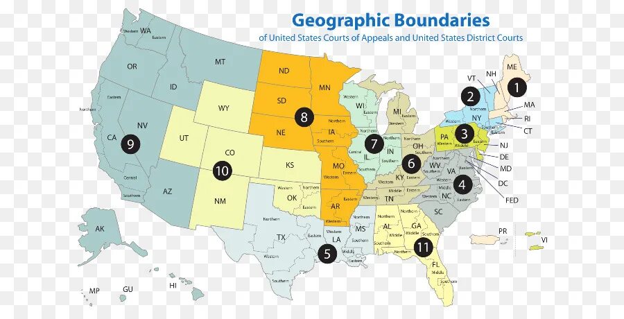 Federal Courts of the USA. Судебные округа США. Система судов США. Виды суда в США. Ковид в сша