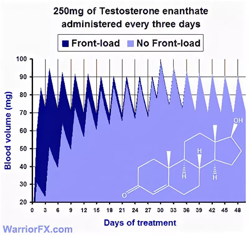 Тестостерон ципионат график. Тестостерон энантат график. Тестостерон энантат график концентрации. Тестостерон ципионат фармакокинетика.