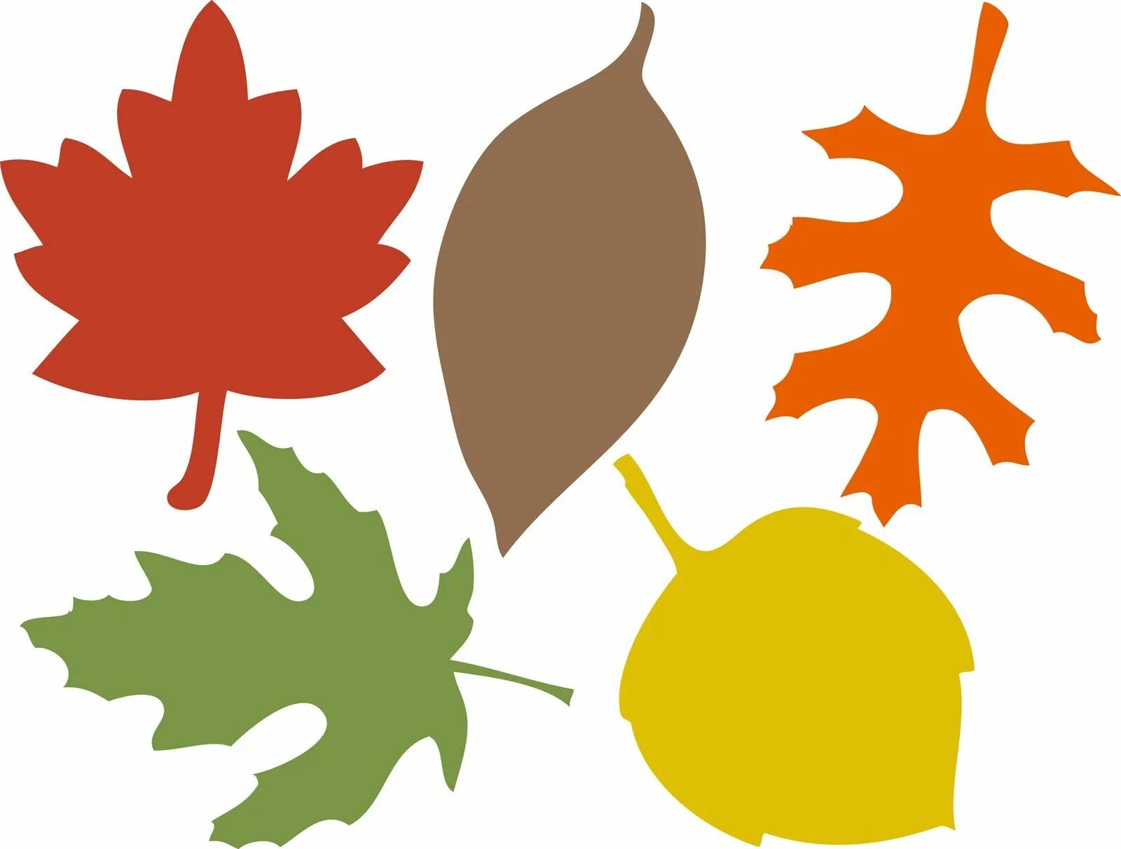 Leaves for school. Осенние листья трафареты для вырезания. Листья для вырезания цветные. Шаблоны осенних листьев. Аппликация с листьями.