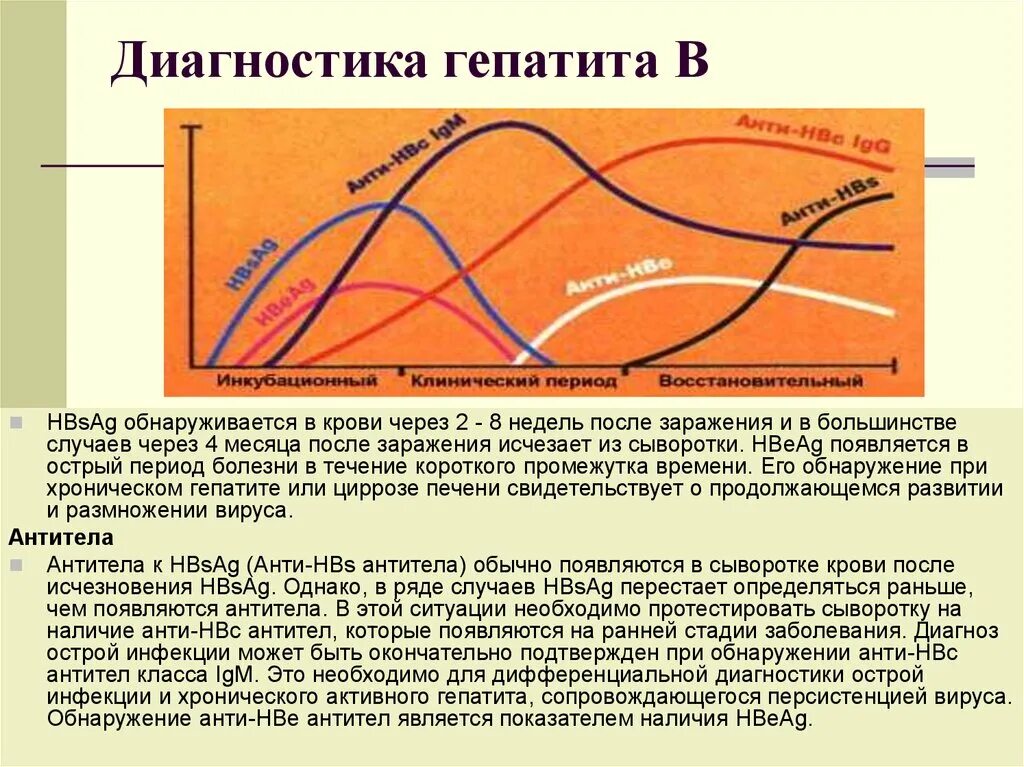 Через сколько в крови обнаруживается