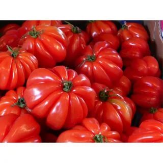 Вкусные помидоры семена