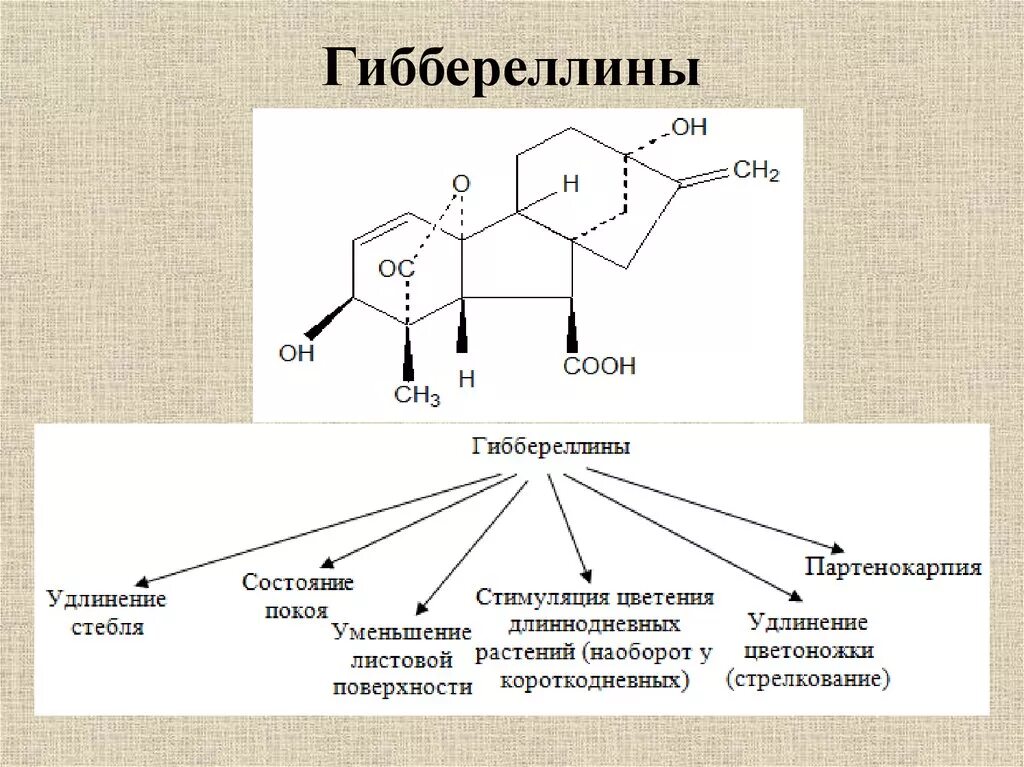 Гиббереллиновой кислоты купить