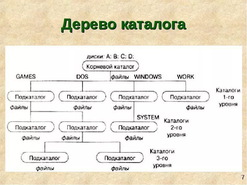 Каталоги 1 уровня. Дерево каталогов. Структура дерева каталогов. Дерево каталогов Информатика. Дерево файловой структуры.