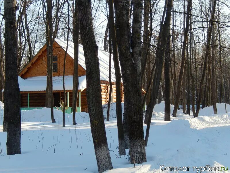 Березка нижегородская область. База Березка Жидилов Бор. Турбаза Березка Чкаловский район. Турбаза берёзка Поморцево. Березка Байкальский Прибой турбаза.