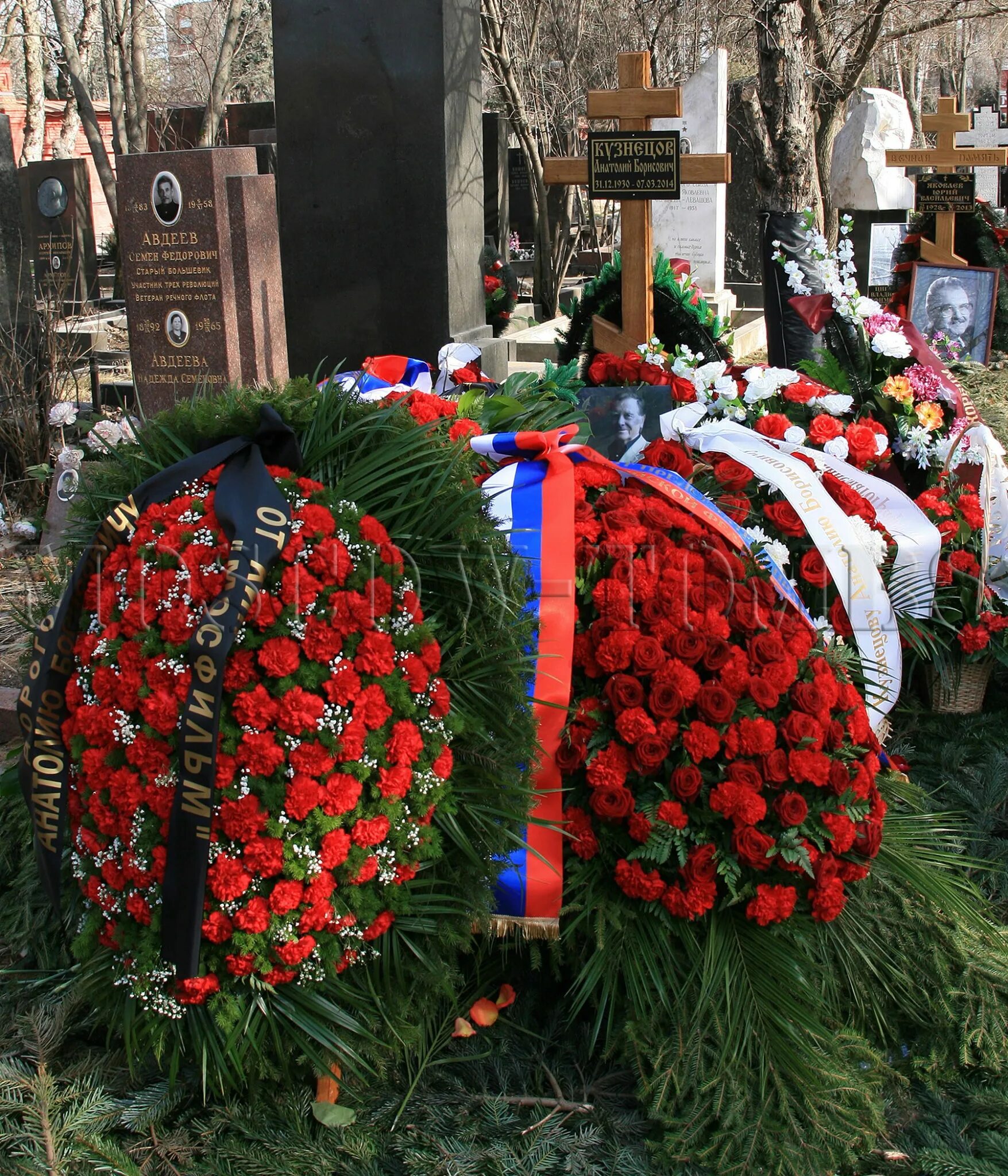 Кузнецов похоронен. Могила Кузнецова на Новодевичьем кладбище. Могила Анатолия Кузнецова на Новодевичьем кладбище.