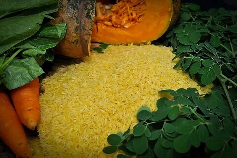 Золотой рис