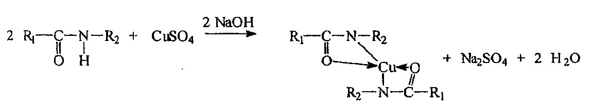 Белок NAOH cuso4. Яичный белок cuso4. Яичный белок NAOH cuso4 реакция. Реакция белка и cuso4. Cuso4 naoh полное ионное