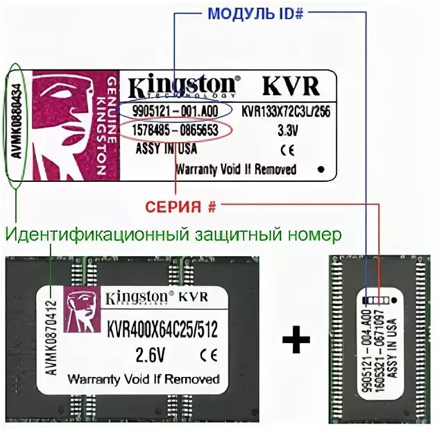 Дата выпуска карты