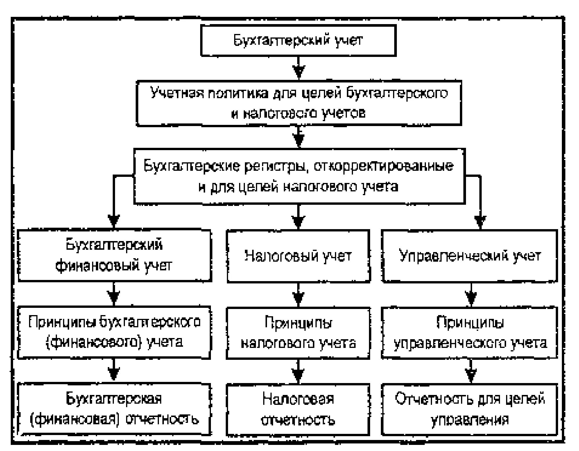 Система бухгалтерского учета