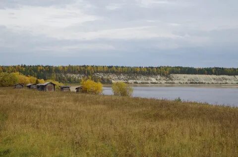 Березняки 3