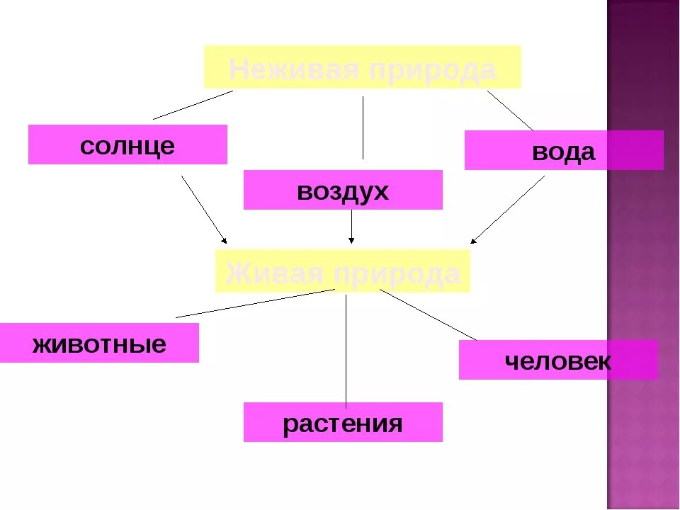 Схема связи живой и неживой природы 2 класс. Связь между живой и неживой природой. Схема взаимосвязи живой и неживой природы. Связь между живой и неживой природой схема.